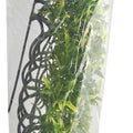 NATURAL BUSH BOLIVIAN CROTON PLANT LG-22 IN GREEN