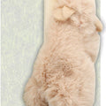 SKINNEEEZ TEASER WANDS W/CATNIP 12 IN ASSORTED