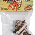 HERMIT CRAB GROWTH SHELL LG-1 PK NATURAL