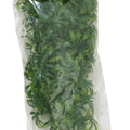 NATURAL BUSH PLANTS CANNABIS MD-18 IN GREEN