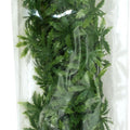 NATURAL BUSH PLANTS CANNABIS LG-22 IN GREEN