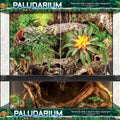PALUDARIUM DOUBLE DOOR 20 GAL-36X18X36