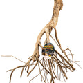 TALAWA MANGROVE ROOT XL NATURAL