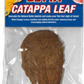 BETTA CATAPPA LEAF