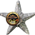 STEAMPUNK AQUARIUM ORNAMENT  STARFISH