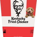 SPOT KFC PLUSH TOY ASSORTED DUMP BIN 36 PC