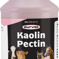 DURVET KAOLIN-PECTIN ANTI-DIARRHEAL LIQUID 32 OZ