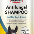 ANTIFUNGAL EQUINE SHAMPOO 32 OZ