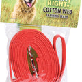 TRAIN RIGHT! COTTON WEB TRAINING LEASH 10 FT RED