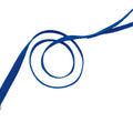 SINGLE PLY DOG LEASH 1 IN X 6 FT BLUE
