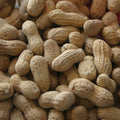 IN SHELL PEANUTS FANCY 50 LB