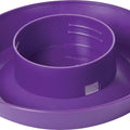 LITTLE GIANT SCREW-ON POULTRY WATERER BASE 1 QT PURPLE