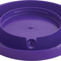 LITTLE GIANT SCREW-ON POULTRY WATERER BASE 1 GAL PURPLE