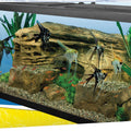 TETRA COMPLETE DELUXE LED AQUARIUM KIT 55 GAL-48X13X20