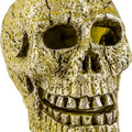 GLOFISH AQUARIUM ORNAMENT SKULL SM