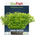 GLOFISH AQUARIUM PLANT MD JAVA MOSS