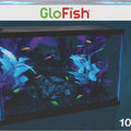 GLOFISH AQUARIUM KIT 10 GAL