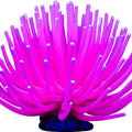 GLOFISH ANEMONE LG PINK