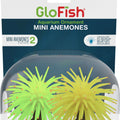 GLOFISH ANEMONE MINI - 2PK YELLOW/GREEN