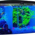 GLOFISH BETTA TRILOGY AQUARIUM 3 GAL
