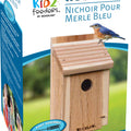 DIY CRAFT KIT BLUEBIRD HOUSE  NATURAL