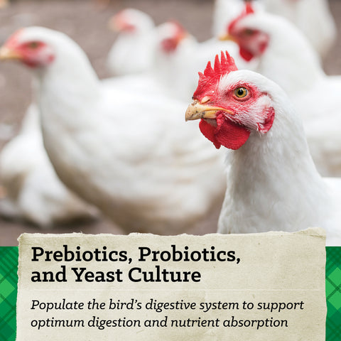 Nutrena® NatureWise® Meatbird 22% Protein Crumble 40 lbs