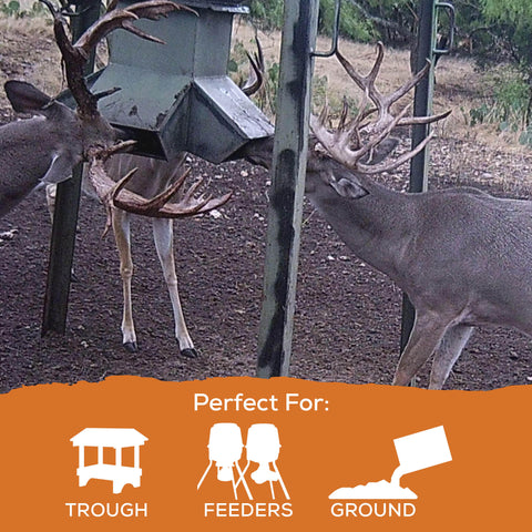 Record Rack® Sweet Deer Corn 40 lbs