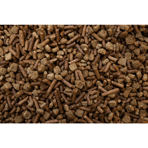 Buckeye Nutrition® EQ8™ Gut Health Multi-Textured Horse Feed, 50 lb Bag - Image 2