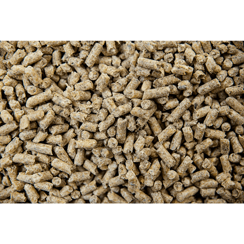 Buckeye Nutrition® GRO 'N WIN™ Pelleted Ration Balancer Horse Feed, 50 lb Bag - Image 3