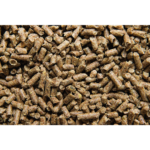 Buckeye Nutrition® SAFE 'N EASY™ Performance Pelleted Horse Feed, 50 lb Bag - Image 2