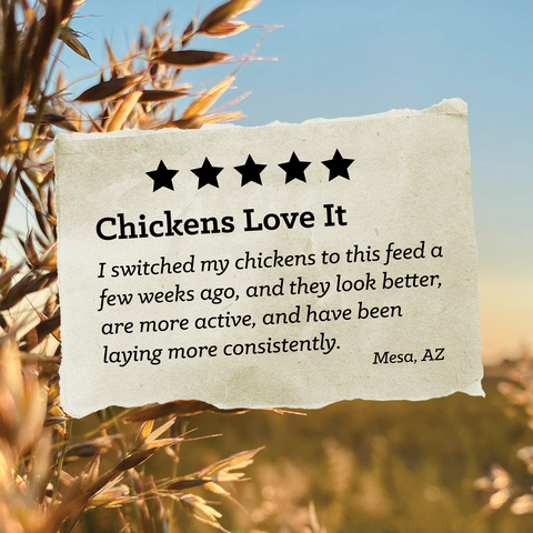 Nutrena® NatureWise® 17% Protein Layer Pellet Poultry Feed 50 lbs