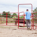 Tarter American 8' Corral Panel with 4' Walk-Thru-6-Bar Economy Corral with Walk-Thru- 8'X4' Red