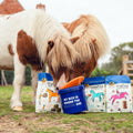 Cavalor Healthy Horse Snacks Lineup
