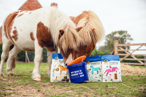 Cavalor Healthy Horse Snacks Lineup