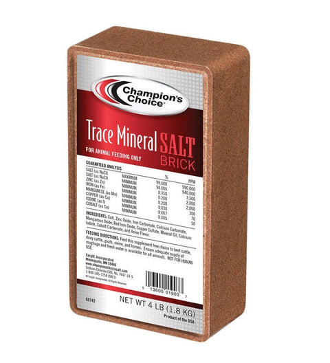 Trace Mineral Red Salt Brick, 4 lb.