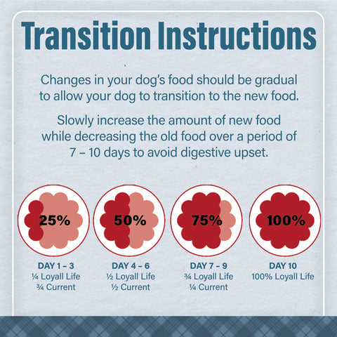 Nutrena® Loyall Life® Advanced Solutions Healthy Digestion Chicken & Rice Recipe Adult Dog Food 30 lbs