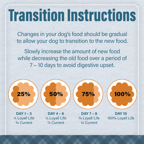 Nutrena® Loyall Life® Grain Free Beef with Sweet Potato Recipe All Life Stages Dog Food 30 lbs