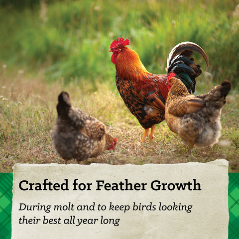 Nutrena® NatureWise® 20% Protein Feather Fixer Pellet Poultry Feed 40 lbs