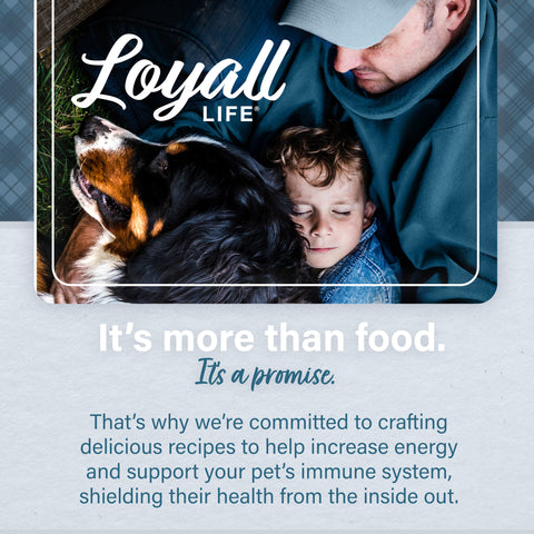 Nutrena® Loyall Life® Lamb Meal & Brown Rice Recipe Adult Dog Food 20 lbs