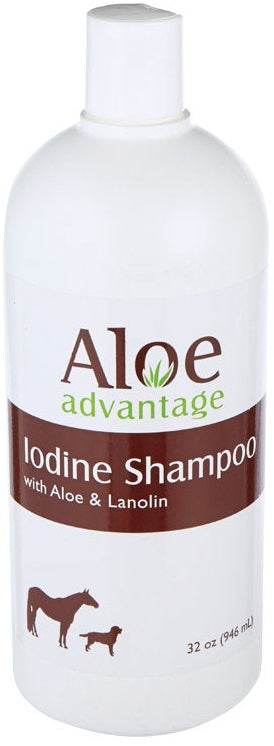 Aloe & Iodine Shampoo, 16 oz