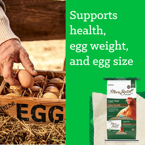 Nutrena® Nature Smart® 16% Protein Layer Pellet 35 lbs