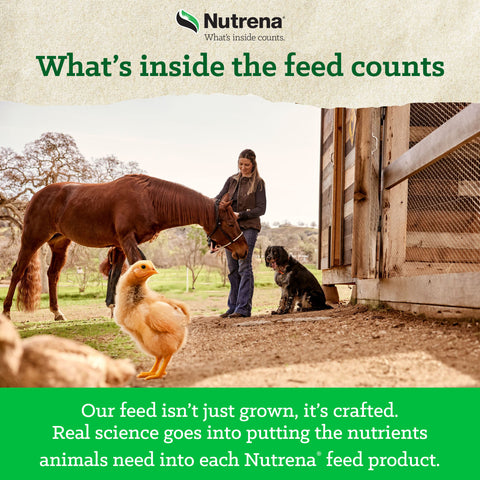 Nutrena® Nature Smart® 20% Protein Chick Starter Grower Crumble 35 lbs