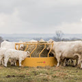 Tarter Titan Tall Bull Feeder - 3-Piece Super Round Bale Feeder - Brown