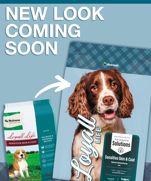 Nutrena® Loyall Life® Advanced Solutions Sensitive Skin & Coat Salmon & Oatmeal Recipe Adult Dog Food 30 lbs