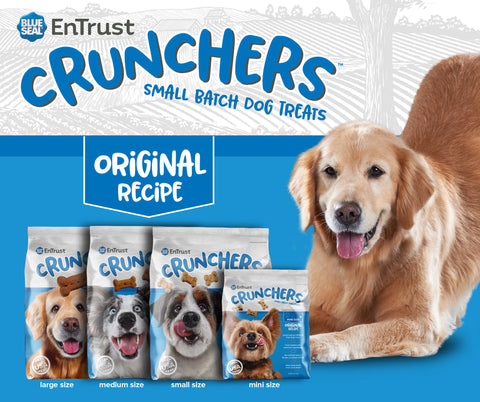 Crunchers Original Recipe Medium Dog Treat, 25 lb