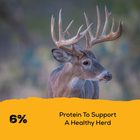 Record Rack® Wildlife Crunch® Block 20 lbs