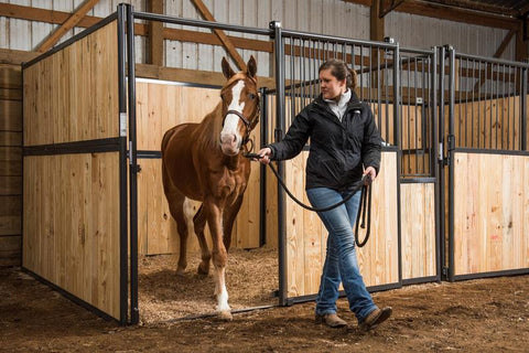 Tarter 12' Sentinel Stall Side with O Bars
