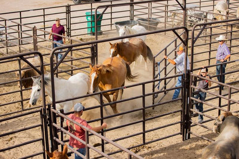 Tarter Super Stock Ride-Thru - 9' X 10'