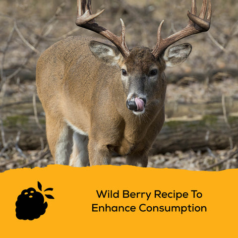 Record Rack® Wildlife Crunch® Block 20 lbs