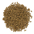 Growth — feed close-up